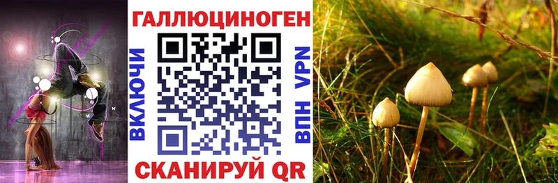 Псилоцибиновые грибы Psilocybe  Нелидово 